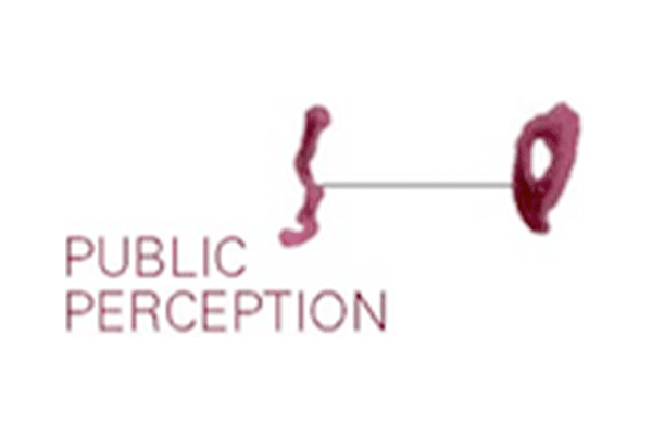 Public Perception  Research for entering the future