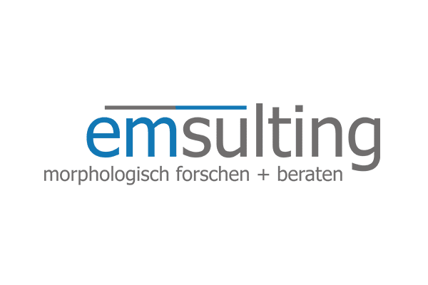 emsulting